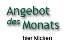 Lederpflege Angebot des Monats